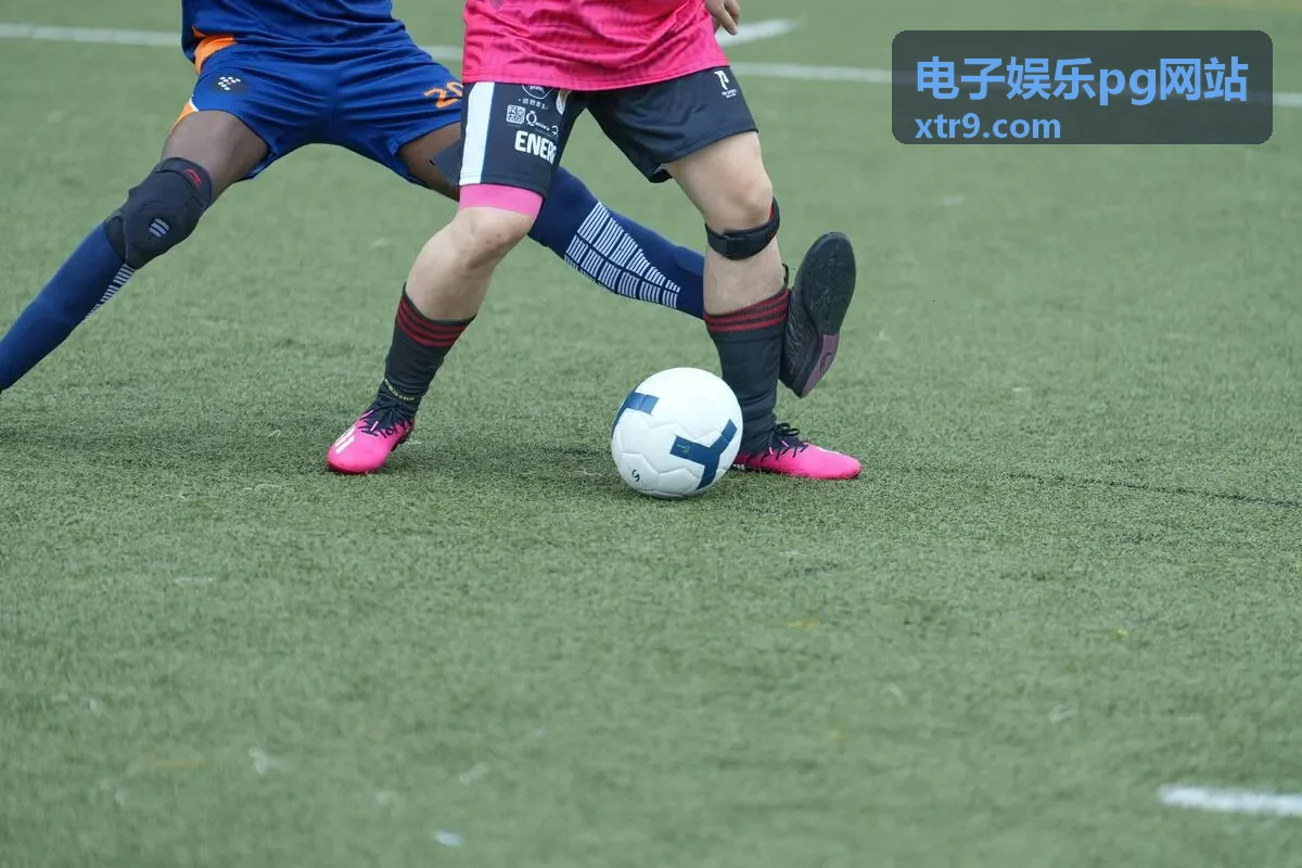 电子娱乐pg网站游艺专题分类说明封面