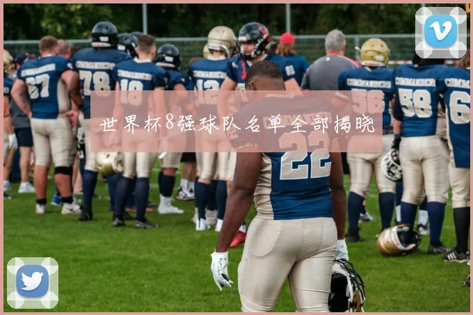 世界杯8强球队名单全部揭晓
